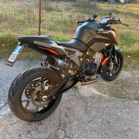 PortaTarga Corto con Luce Ktm Duke 790/890