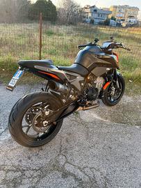 PortaTarga Corto con Luce Ktm Duke 790/890