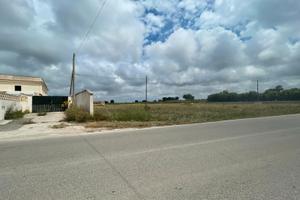 Terreno 4000mq Uso Artigianale Capannone