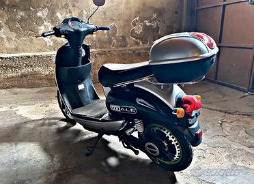 Scooter elettrico ( vitale )