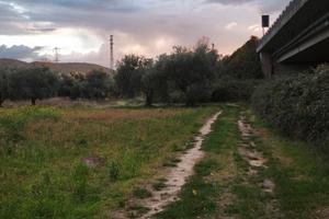 Terreni Lenze del Mulino Pozzilli e Montaquila