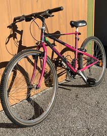 Vintage MTB Bianchi