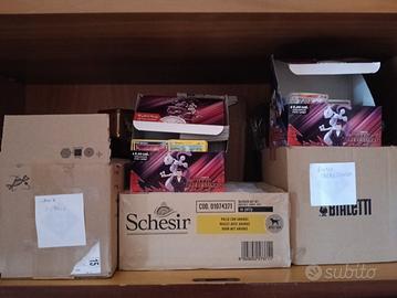 Lotti e Manco Liste Pokemon