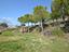 Immagine 10