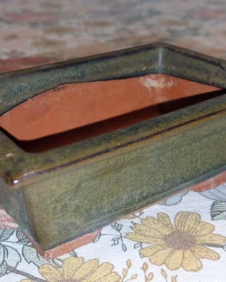 Ciotola per bonsai