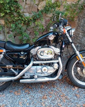 Harley Davidson sposter deluxe 883