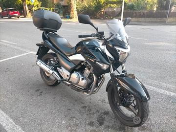 Suzuki Inazuma 250 tagliandata e perfetta