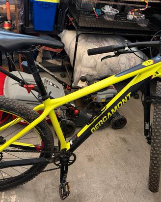 MTB  BERGAMONT