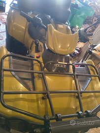 Kawasaki brute force 750