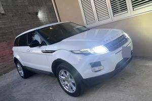 Evoque