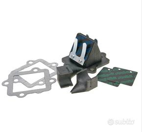 PACCO LAMELLARE  IN CARBONIO POLINI MINARELLI