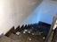 Immagine 22