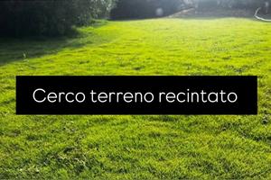 Terreno recintato