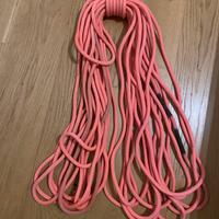 Corda Petzl Volta Guide 30m