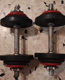 Coppia di manubri 14 kg