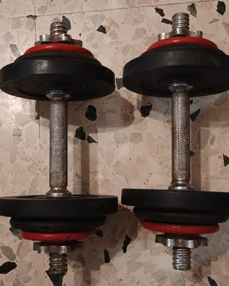 Coppia di manubri 14 kg