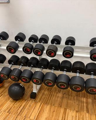 Set manubri professionali Life Fitness gommati