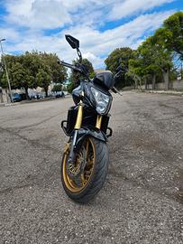 HONDA HORNET 600