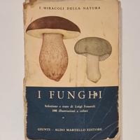 I Funghi - Miracoli Natura - 1974