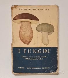 I Funghi - Miracoli Natura - 1974
