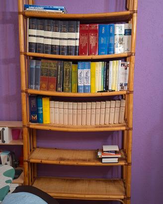 Libreria in bambù