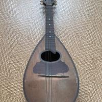 Mandolino Silvestri usato