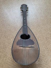 Mandolino Silvestri usato