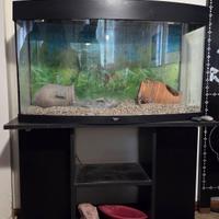 acquario Juwel con mobiletto 