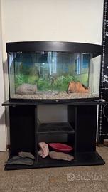 acquario Juwel con mobiletto 