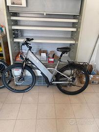 bici elettrica 