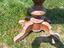 Immagine 2