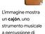 Immagine 3