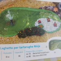LAGHETTO PER TARTARUGHE  CON SPIAGGIA   ( PESCI )