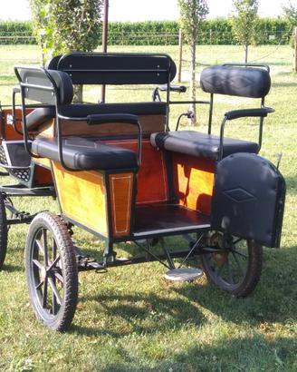 Carrozza Cavalli