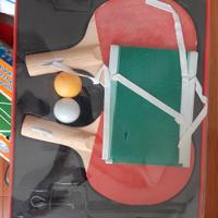 gioco ping pong