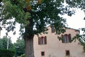 Un'oasi di tranquillità immersa nel verde