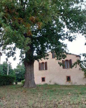 Un'oasi di tranquillità immersa nel verde