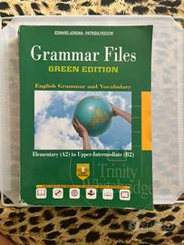 Grammar Files Edward Jordan, Patrizia Fiocchi