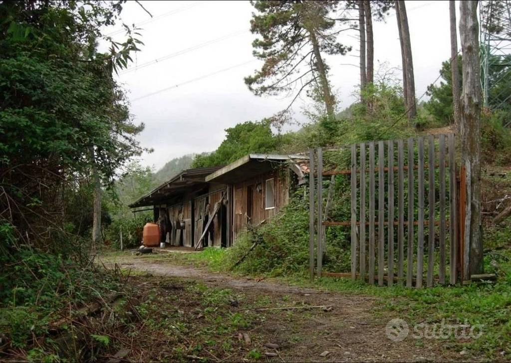 Immobile in asta di 115688 m² a Follo - Vista 2