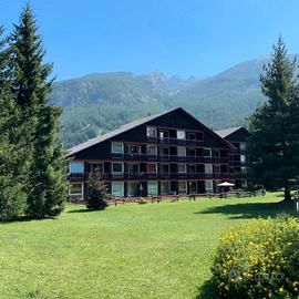 Natale e Capodanno sulla neve