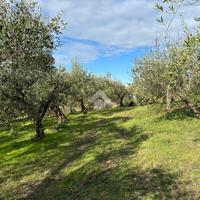 TER. AGRICOLO A SANT'AGATA DE' GOTI