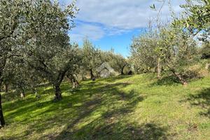 TER. AGRICOLO A SANT'AGATA DE' GOTI