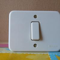 Interruttori BTicino Serie Domino