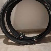 coppia di copertoni mtb