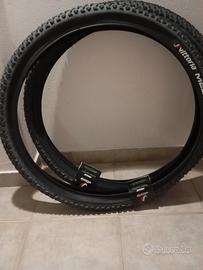 coppia di copertoni mtb