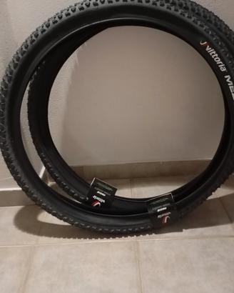 coppia di copertoni mtb
