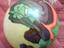 Immagine 6