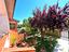Immagine 13