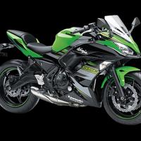 Pezzi di ricambio Ninja 650 2017-2020 Smembro