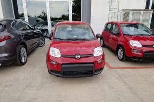 FIAT Ducato Nuovo Furgone Lastrato 35q Lh2 2....